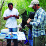 Dr. Wunderle works with colleagues outdoors
