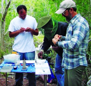 Dr. Wunderle works with colleagues outdoors