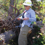 Dr. Sutherland in a forest