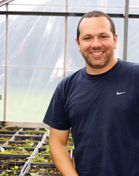 Dr. Royo stands beside seedlings in a greenhouse.