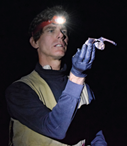 Mr. Weller wears a headlamp and gloves and inspects a bat