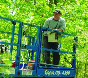 Dr. Skowronski stands on the platform of a lift in a forest