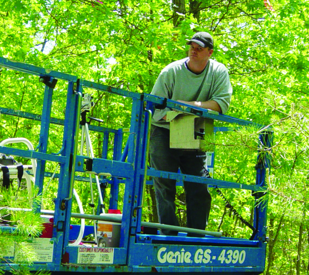Dr. Skowronski stands on the platform of a lift in a forest