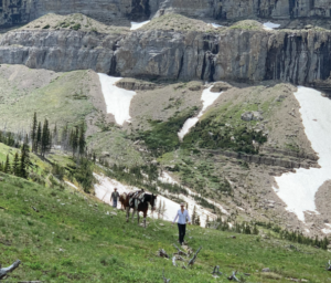 Emily Platt leads a horse over rough terrain