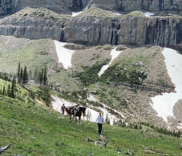 Emily Platt leads a horse over rough terrain