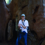 Dr. Rudie stands in front of giant sequoias