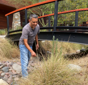 Jose observing some plants in a landscaped area by a bridge