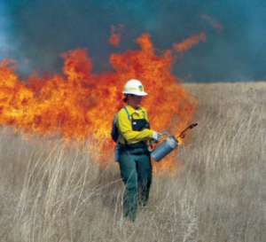 Kerry Dooley in protective gear lighting a prescribed burn