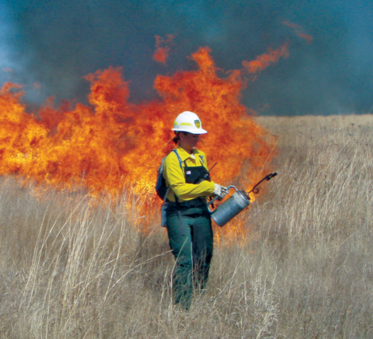 Kerry Dooley in protective gear lighting a prescribed burn