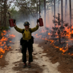 Lindsey Kupfer standing with two torches ni front of a prescirbed burn in a forest.