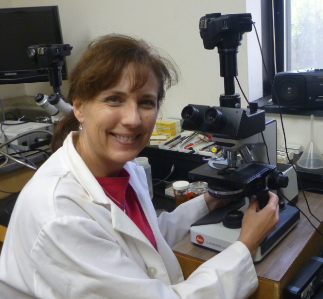 Ms. Cram sits at a microscope in a lab coat