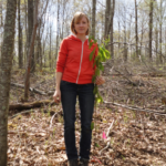 Dr. Pinchot stands in the woods beside a sapling tree