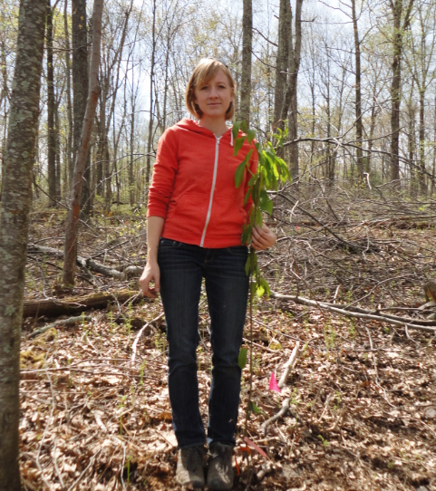 Dr. Pinchot stands in the woods beside a sapling tree