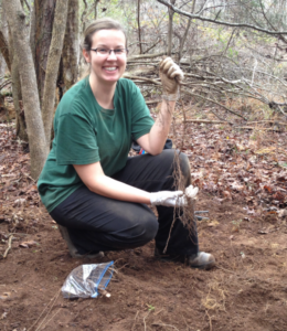 Ms. Taylor kneels on a forest floor and holds up a long plant root