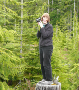 Dr. Harrington stands on a tree stump holding a camera in a forest
