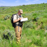 Mr. Colt takes notes on a clipboard as he stands in a grassland.