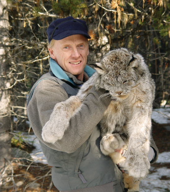 Dr. Squires holds a sedated lynx.