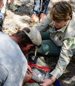 Ms. Fletcher holds a bird's wing for another scientist.