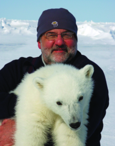 Dr. Marcot holds a young polar bear.