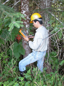 Xping Wang in the forest holding an instrument and wearing a hard hat