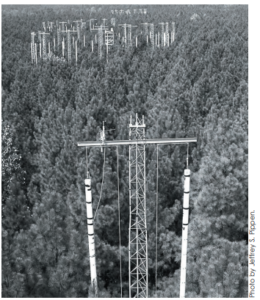 Towers in a forested area