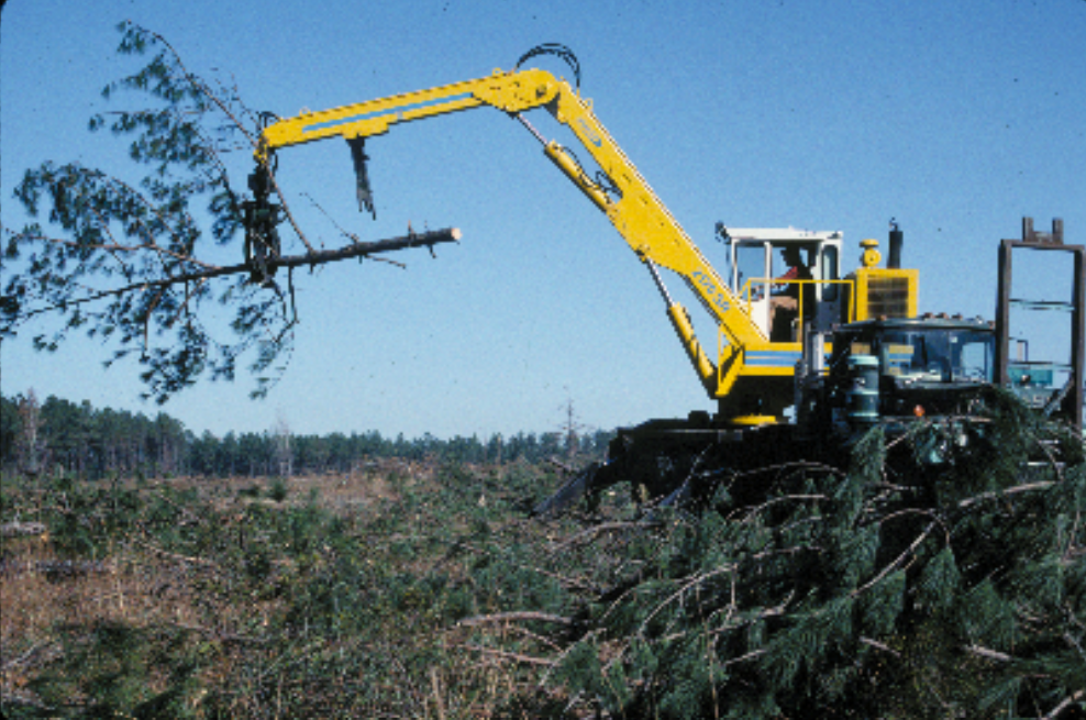 excavator clearing trees