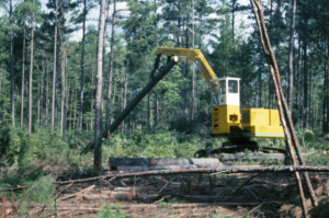 A large machine clearing trees in a forest