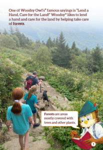 Article cover from Taking Care of Our Forests with a family hiking in a forested area