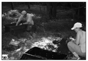 Scientist working in the field