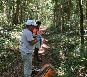 Two people collect data in a forest