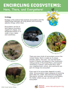 PDF preview of the Encircling Ecosystems career activity sheet