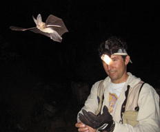 Navo in a dark area with a head lamp and a bat flying over his head