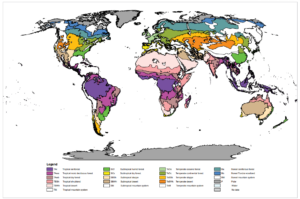 An ecozone map of the World