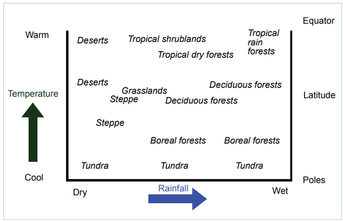 A graphic showing different vegetation due to different levels of rainfall and elevation