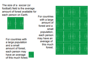 A graphic showing average amounto f forest per person in countries compared to the size of soccer fields