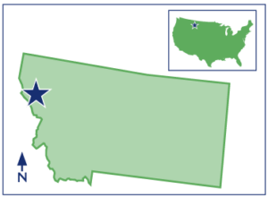 A Map of Montana with a star on the Lolo National Forest. and a small map of the US. with a star on the Lolo national forest in Montana. 