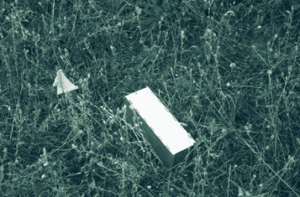 A rectangular live trap in a field with knapweed