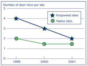 A graph showing the average number of deer mice trapped in native vs knapweed sites