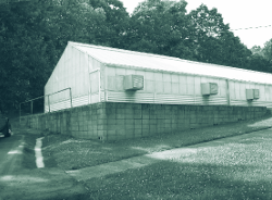 A greenhouse