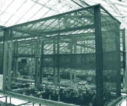 Plants in a greenhouse covered by a large cage that is shadecloth