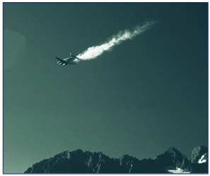 A plane dropping fish out of the sky