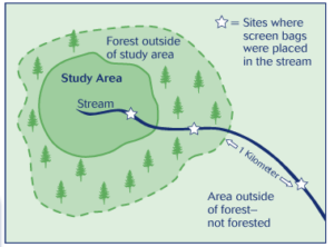 A grphic showing the study area and stars are marking where the sites were on the map