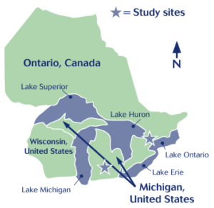 Map of Michigan and Canada with the study sites in southern Ontario marked with stars