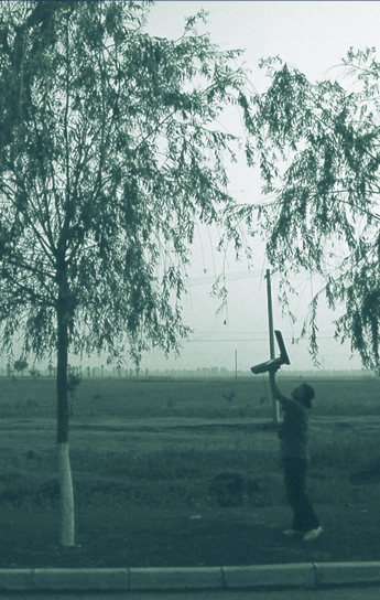 A scientist holding a transceiver up to a tree