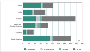 A graph showing the amount of carbon in forest by regions including, Africa, Asia, Europe, North and Central America, Oceania, and South America.