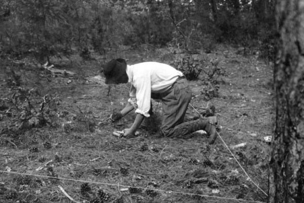 A man makes observations using a quadrat on the forest floor.