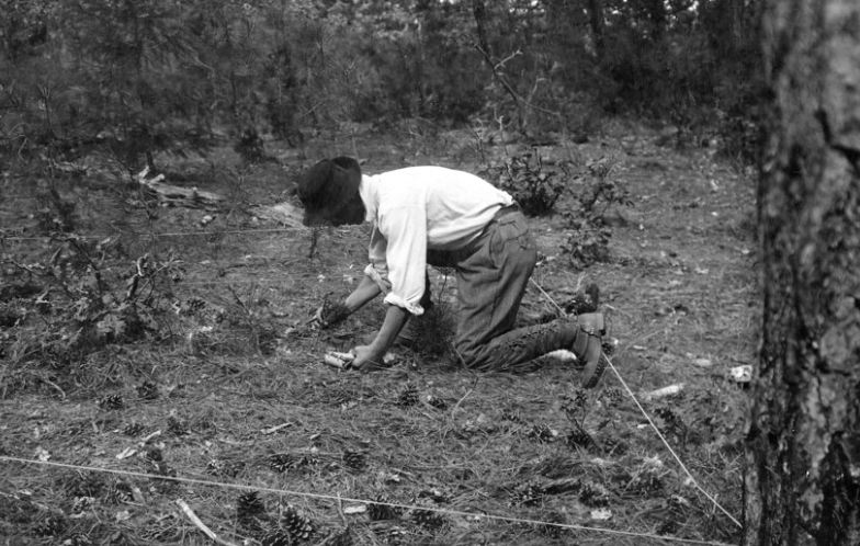 A man makes observations using a quadrat on the forest floor.
