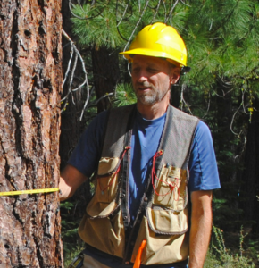 Eric Knapp wears a safety helmet and wraps a diameter tape around a tree trunk.