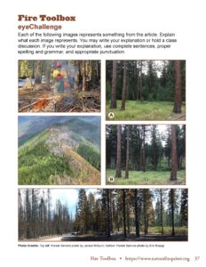 PDF preview of the eyeChallenge from "Fire Toolbox"