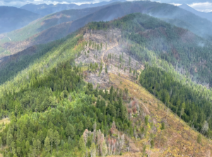 A forested mountain area with a break in the trees that creates a firebreak. A firebreak creates areas where it is difficult for a fire to burn because there is little or no vegetation.